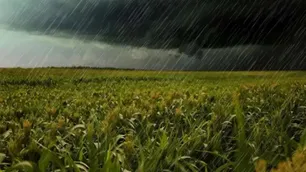 Se reactivan las expectativas en el sector agropecuario: “Tuvimos una recuperación muy importante del agua”
