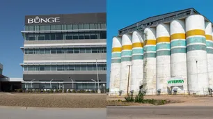 La fusión Bunge - Viterra podría enfrentar un examen de los reguladores antimonopolio