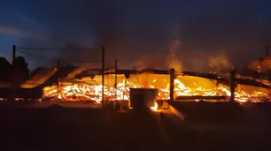 La Plata: se incendió una caballeriza y ocho caballos murieron calcinados