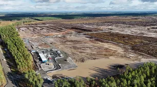 Finlandia frenó obras de Google tras la tala de más de 500 hectáreas de bosque