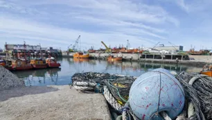 La pesca extranjera se lleva 250.000 toneladas anuales de las aguas argentinas de Malvinas