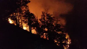 El maravilloso Parque Los Alerces es Patrimonio de la Humanidad y del fuego en Chubut