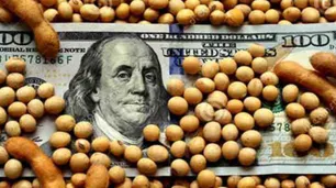Tras un arranque lento, avanza el 'dólar agro' pero lejos de los programas anteriores
