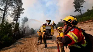 “Los mapuches estuvieron apagando el fuego, no incendiando”, afirmó una artista de Epuyén