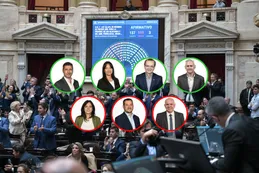 Ley de Glaciares: cómo votaron los diputados de Chaco