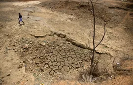 Termina una década de "calor excepcional" con efectos "devastadores" a nivel global