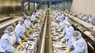 Industrias del maní, huevos, limones y pesca pidieron al Gobierno que dé marcha atrás con las retenciones