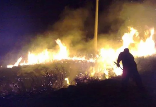 Los incendios forestales ya arrasaron con 327 mil hectáreas