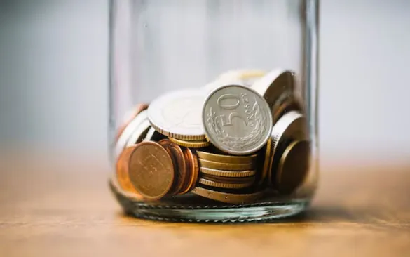 Las tres plantas que atraen el dinero y estabilidad financiera, según el Feng Shui