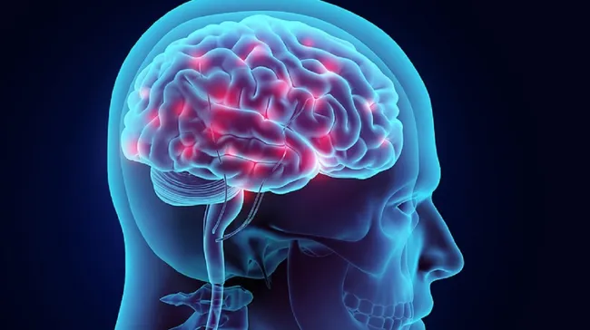 Día Mundial del Cerebro: por qué mantenerse activo es fundamental para su buen funcionamiento