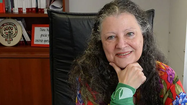 Diana Maffía: "El Gobierno y los mapuches tienen un concepto distinto sobre lo que es la propiedad"