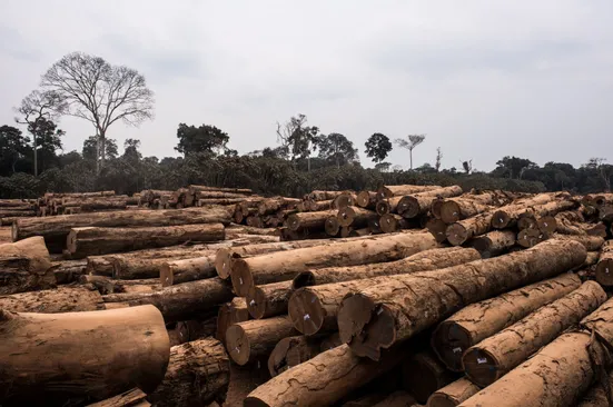 Las trece ciudades más violentas de Brasil están en la Amazonía