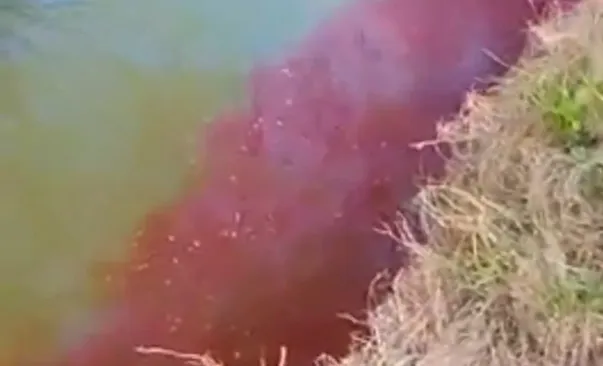 Carmen de Areco: el río Areco tiñó sus aguas de rojo ¿a qué se debió?