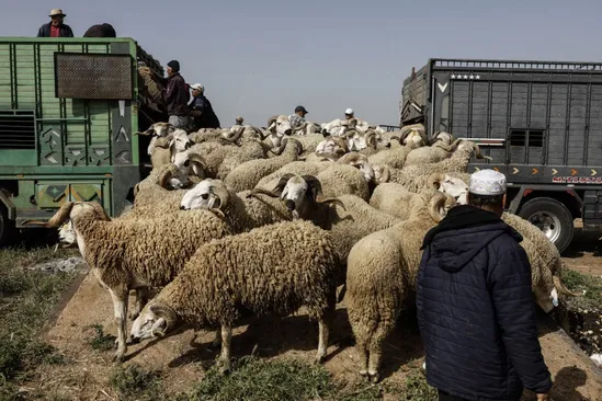 El nuevo modelo económico de Marruecos