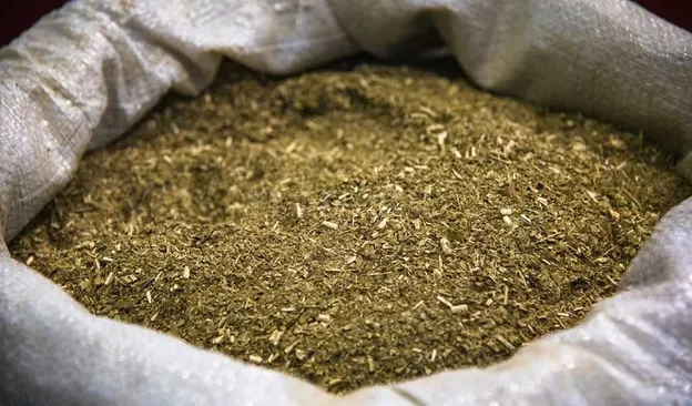 ANMAT prohibió la venta de una yerba mate por detectar Salmonella y Escherichia Coli