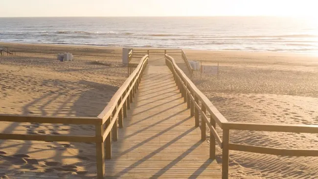 Conocé la plataforma para elegir alojamientos en Pinamar, Ostende, Valeria del Mar y Cariló