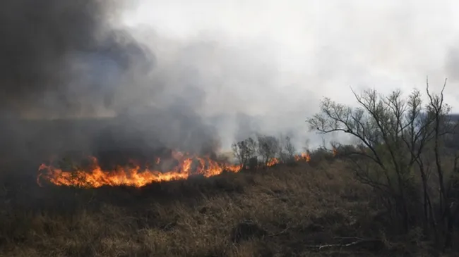 Ya son más de 65 mil las hectáreas afectadas por los incendios en el Delta del Paraná