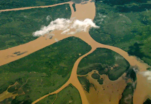 Humedales: negocios con una reserva de agua