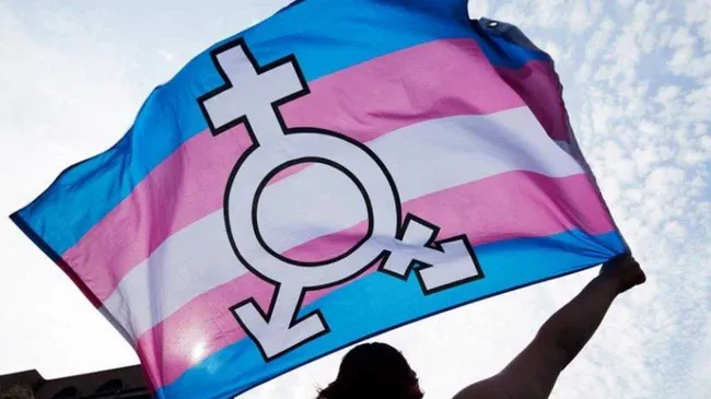 Ley de cupo laboral travesti y trans: ya firmaron dictamen en el Senado