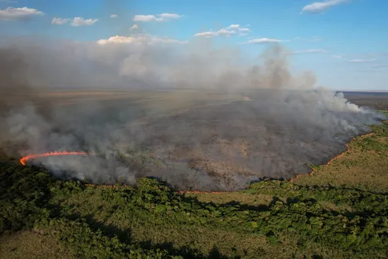 Villalonga sobre Corrientes: "Hay que dedicarse a atacar al fuego y no a la repartición de culpas"