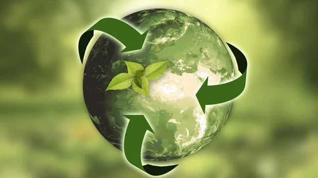 El 2019 se va, pero la crisis climática no