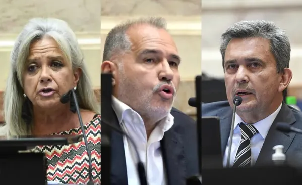Rechazo a los vetos de Milei: cómo votaron los senadores chaqueños en el nuevo revés para el Gobierno