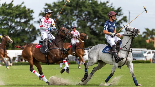 Deportes de lujo: Polo