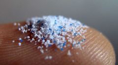 Un nuevo estudio arrojó que la cantidad de microplásticos se incrementó alrededor de un 50% en el cerebro humano