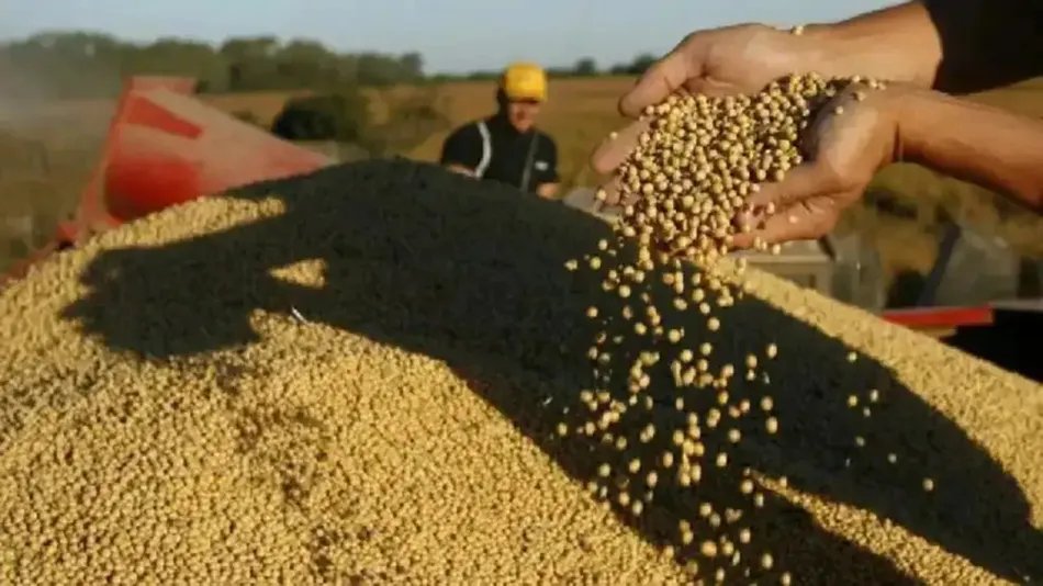 Pablo Adreani sobre las retenciones al agro: “Son confiscatorias, discriminatorias y distorsionan la competitividad”