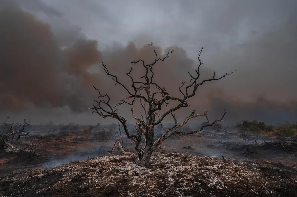 Un informe concluyó que los incendios patagónicos del verano fueron los peores en seis décadas