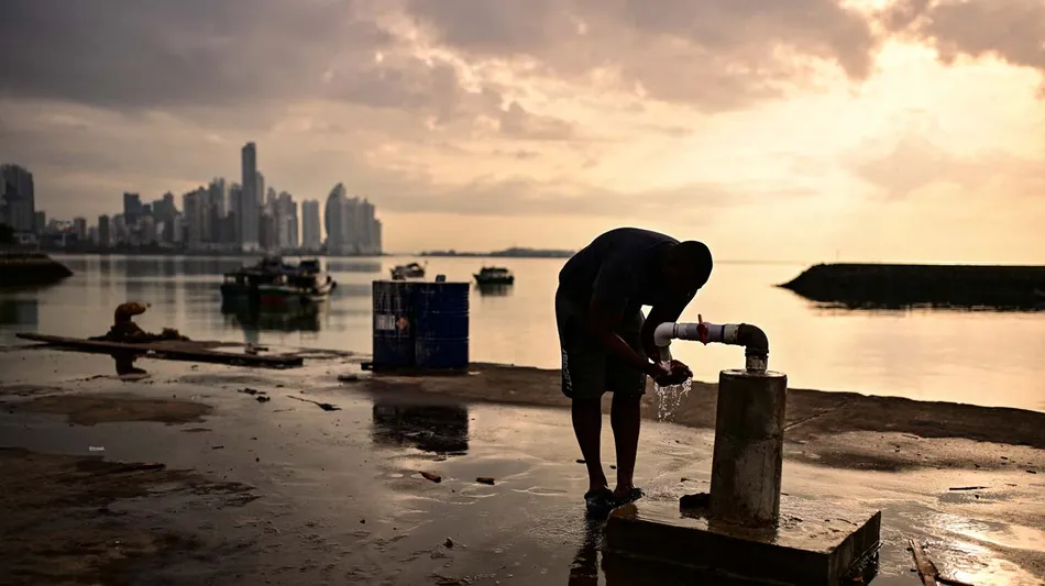 Gases de efecto invernadero en niveles récord: por qué El Niño puede agravar el calentamiento global