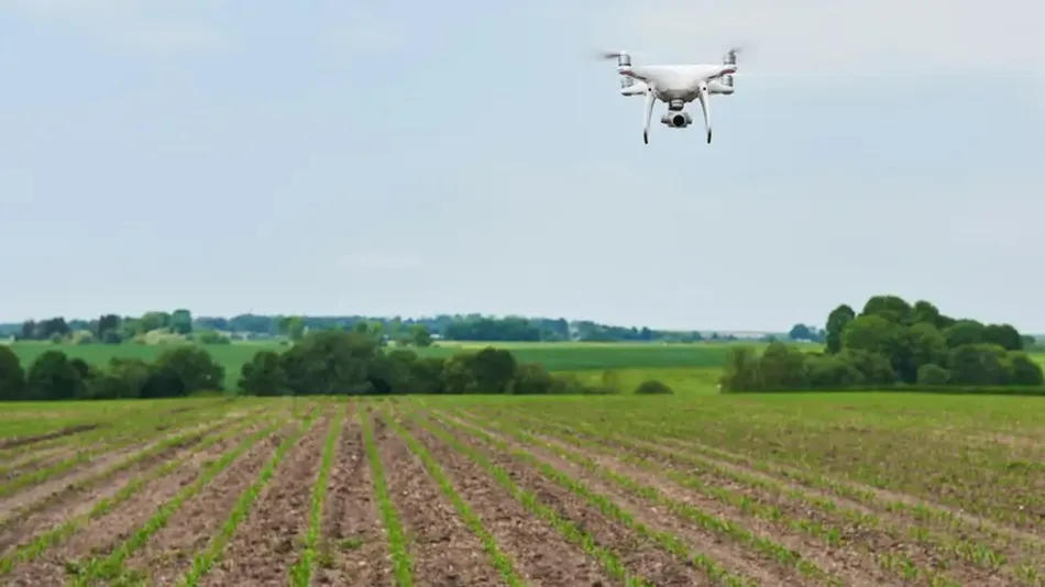 Drones pulverizadores en el agro: se reclama reglas claras para garantizar la seguridad de las aplicaciones