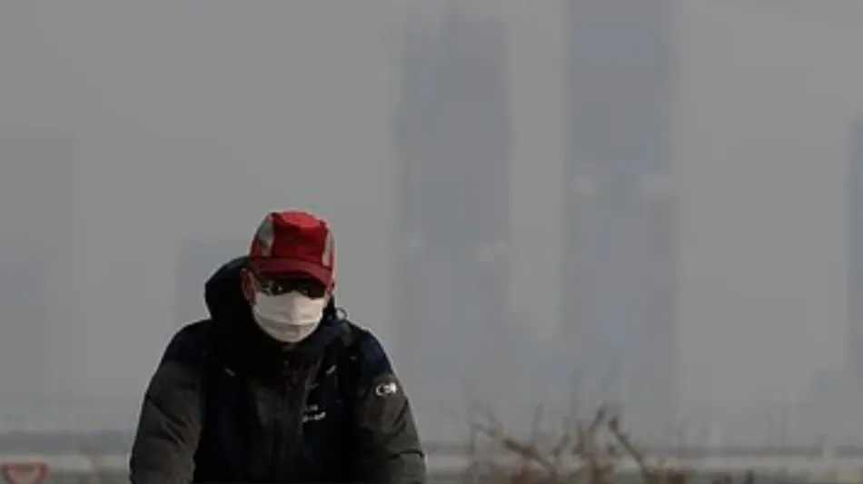 Un estudio determinó que una hora de exposición a la contaminación ambiental bastan para alterar las funciones cerebrales y pulmonares