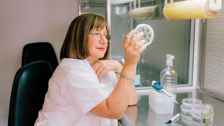 Una científica argentina ganó un premio mundial por sus desarrollos biotecnológicos de cultivos "antisequía"