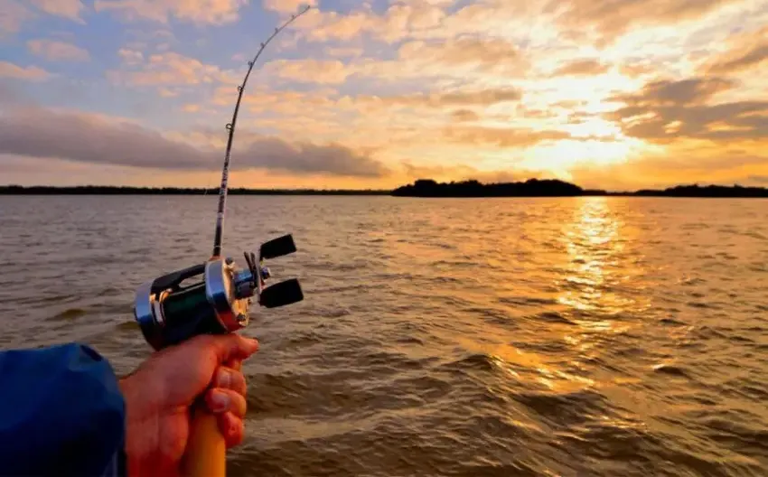 Veda en el Paraná: qué tramo quedó cerrado a la pesca y qué sanciones prevén para los infractores