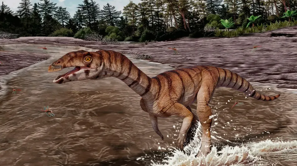 Lo apodan “La Bruja Croc”: arqueólogos hallaron restos de un reptil que vivió hace 253 millones de años
