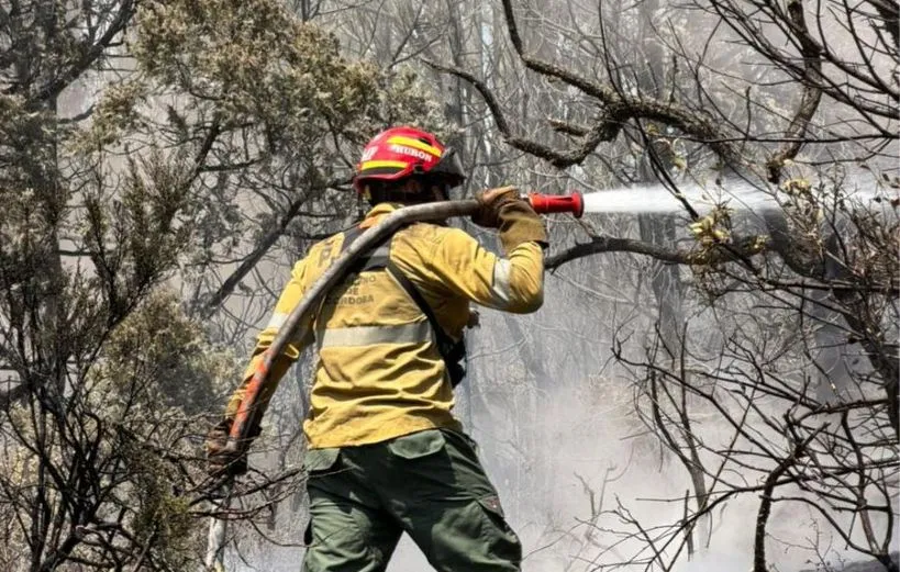 Incendios en la Patagonia: Llaryora apoyó el pedido de los gobernadores para que se declare la emergencia